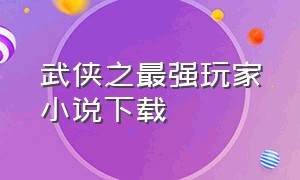 武侠之最强玩家小说下载（武侠之数据风暴全集电子书）