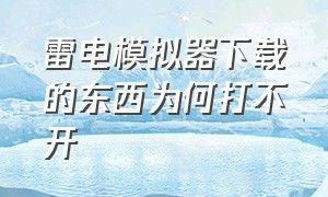 雷电模拟器下载的东西为何打不开