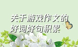 关于游戏作文的好词好句积累