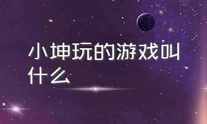 小坤玩的游戏叫什么