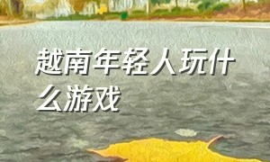 越南年轻人玩什么游戏（越南人都玩什么手机游戏）