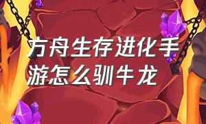 方舟生存进化手游怎么驯牛龙（方舟生存进化手游驯龙教程新手）