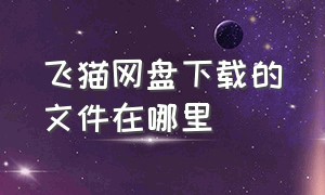 飞猫网盘下载的文件在哪里