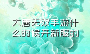 大唐无双手游什么时候开新服的