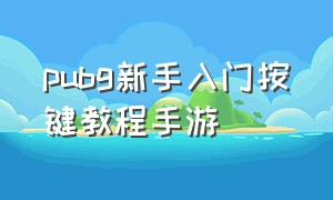 pubg新手入门按键教程手游（三国杀手游新手入门教程）