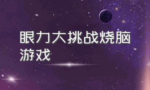 眼力大挑战烧脑游戏