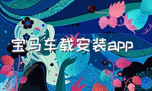 宝马车载安装app（宝马车载安装费用）