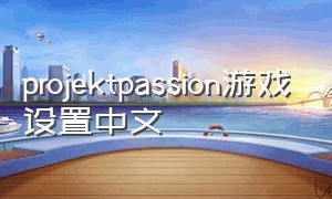 projektpassion游戏设置中文（projekt passion游戏攻略）