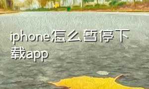 iphone怎么暂停下载app（iphone怎么关闭app下载）