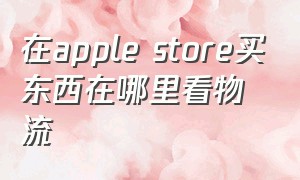 在apple store买东西在哪里看物流