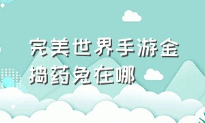 完美世界手游金捣药兔在哪