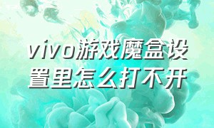 vivo游戏魔盒设置里怎么打不开（vivo游戏魔盒设置里怎么打不开网页）