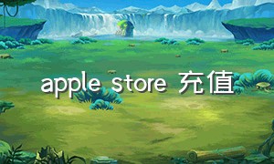 apple store 充值