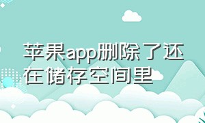 苹果app删除了还在储存空间里（苹果手机app储存空间怎么删除）