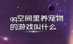 qq空间里养宠物的游戏叫什么（qq空间里的照片为什么会变模糊）