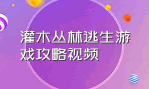 灌木丛林逃生游戏攻略视频（犀牛森林逃生游戏攻略）