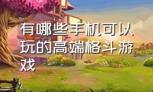 有哪些手机可以玩的高端格斗游戏