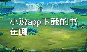 小说app下载的书在哪