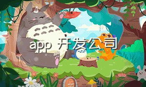 app 开发公司