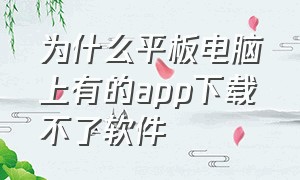 为什么平板电脑上有的app下载不了软件