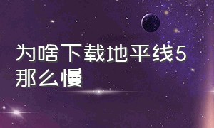 为啥下载地平线5那么慢