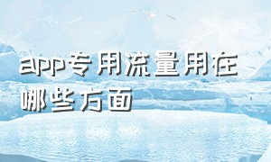 app专用流量用在哪些方面