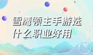 雪鹰领主手游选什么职业好用