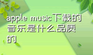 apple music下载的音乐是什么品质的