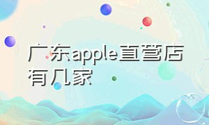 广东apple直营店有几家
