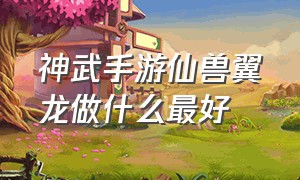 神武手游仙兽翼龙做什么最好