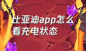 比亚迪app怎么看充电状态（比亚迪app哪里查看充电度数）