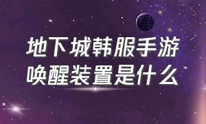 地下城韩服手游唤醒装置是什么