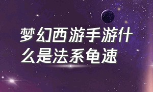 梦幻西游手游什么是法系龟速