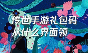 传世手游礼包码从什么界面领