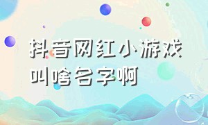 抖音网红小游戏叫啥名字啊（抖音十大网红游戏免费）