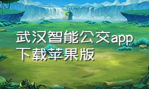 武汉智能公交app下载苹果版