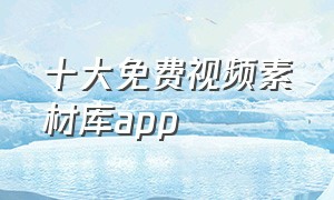 十大免费视频素材库app