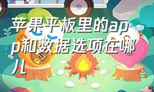 苹果平板里的app和数据选项在哪儿（苹果平板里的app和数据选项在哪儿打开）