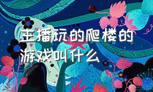 主播玩的爬楼的游戏叫什么