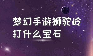 梦幻手游狮驼岭打什么宝石