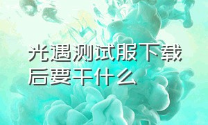 光遇测试服下载后要干什么