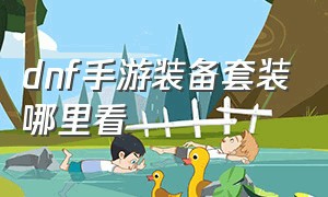 dnf手游装备套装哪里看（dnf手游全套装备属性在哪里看）