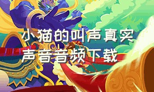 小猫的叫声真实声音音频下载