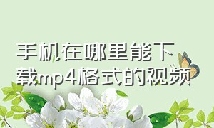 手机在哪里能下载mp4格式的视频