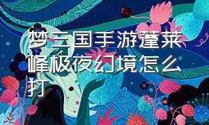 梦三国手游蓬莱峰极夜幻境怎么打