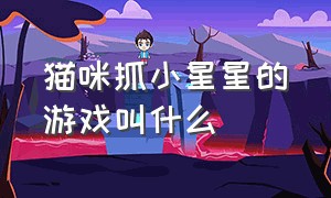 猫咪抓小星星的游戏叫什么（猫咪在屏幕上抓鱼是什么游戏）