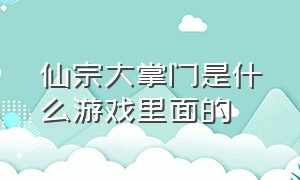 仙宗大掌门是什么游戏里面的（仙宗大掌门游戏攻略大全最新）