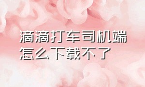 滴滴打车司机端怎么下载不了