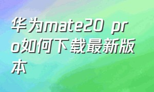 华为mate20 pro如何下载最新版本