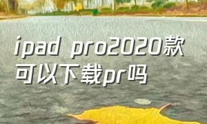ipad pro2020款可以下载pr吗